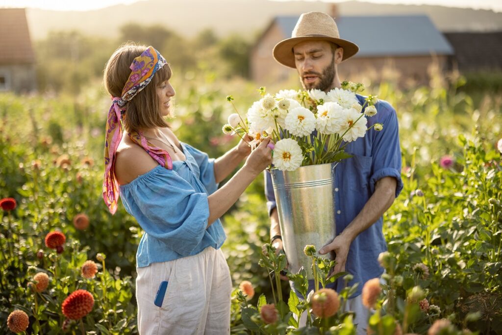 Portrait of cheerful man and woman stand as farmers with buckets full of freshly picked up dahlias while working at flower farm outdoors on sunset