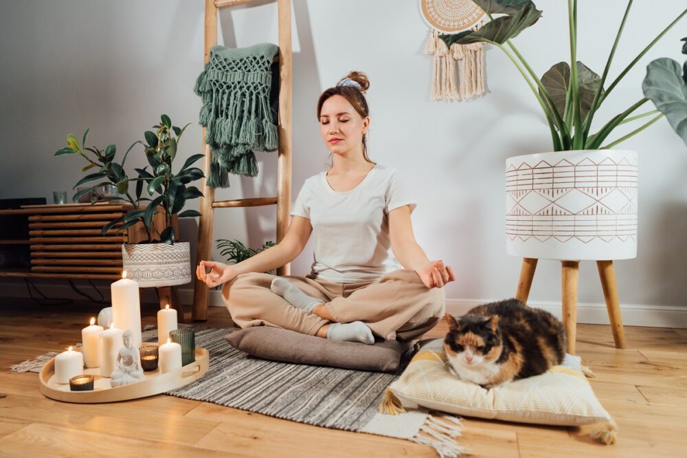 Young healthy woman practicing meditation at home, sitting in lotus position on floor cushion with relaxed cat pet in modern Scandi interior home. Meditating, relaxed, eyes closed. Selective focus.