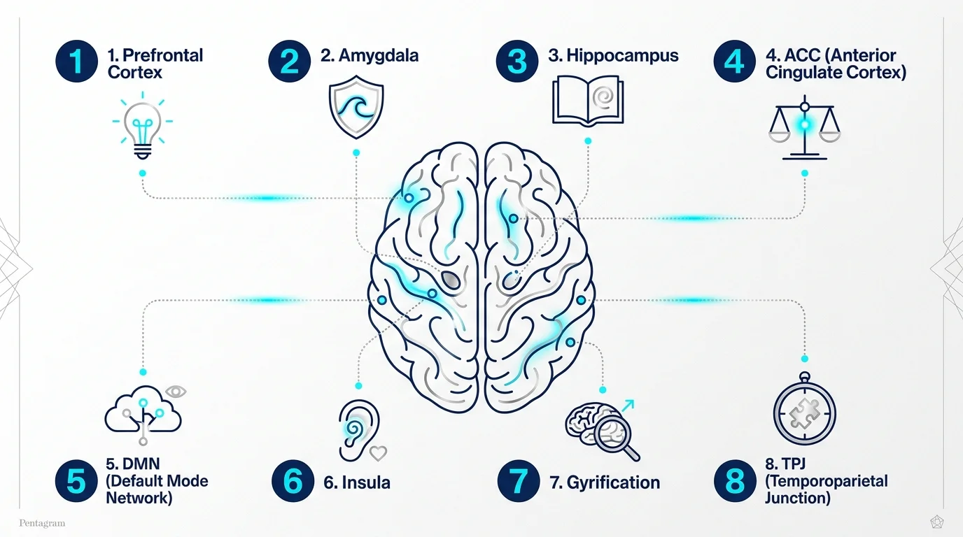 An infographic map of the brain highlighting eight specific areas that change through mindfulness practice.