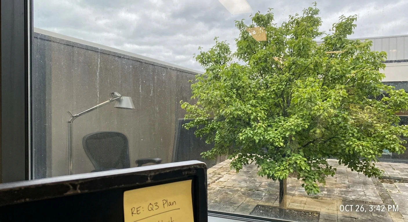 Looking through a window at a green tree from the perspective of an office desk.